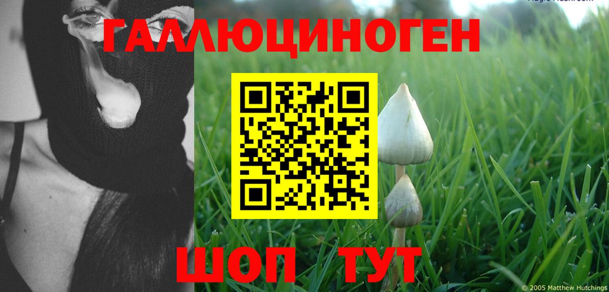 Псилоцибиновые грибы ЛСД Кушва